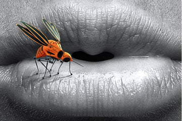Insektenschutzmittel selber machen