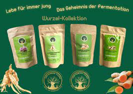 Fermentiert Dangshen