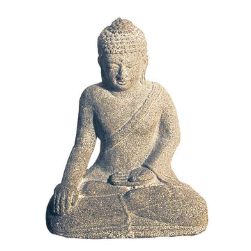 Buddha Meditation