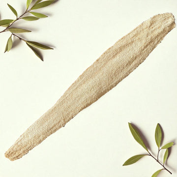 Luffa Gurke ca 60 -80 cm