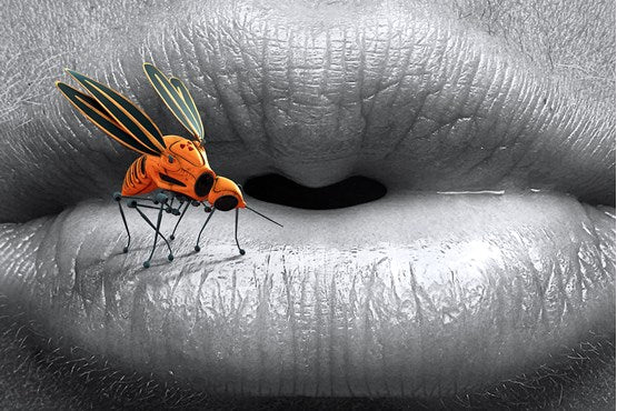 Insektenschutzmittel selber machen