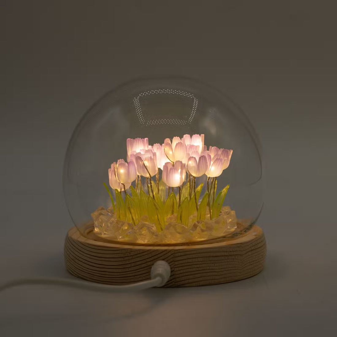 LED Blühende Leuchtgartenkuppel, 20 Tulpen