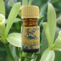 Vanilleöl kbA absolue 5 ml