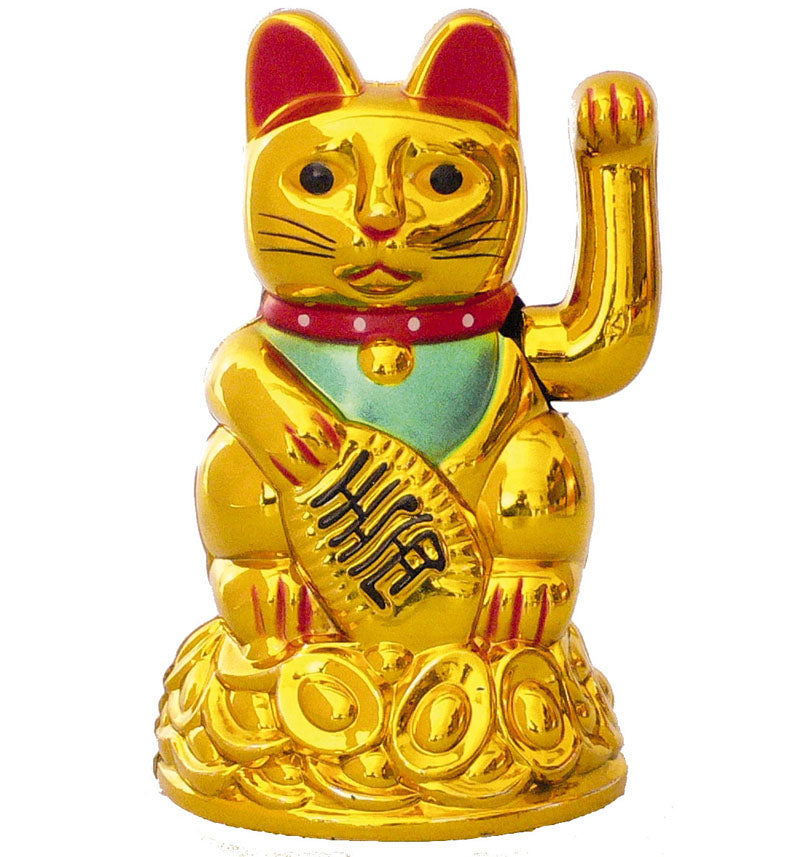 Geld Katze