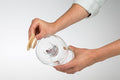 Wasserkrug Cadus mit Glasdeckel