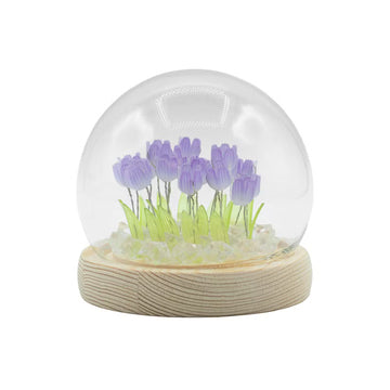 LED Blühende Leuchtgartenkuppel, 20 Tulpen