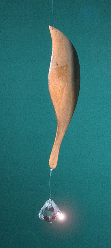 Regenbogenblatt mittel