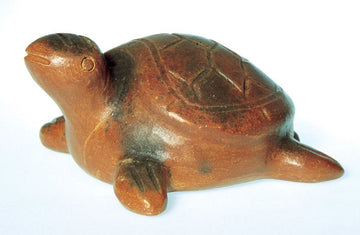 Schildkröte