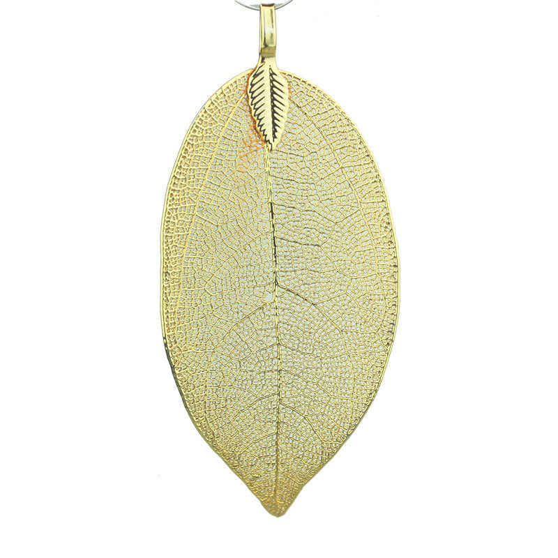 Bodhibaum Blatt 6-8 cm