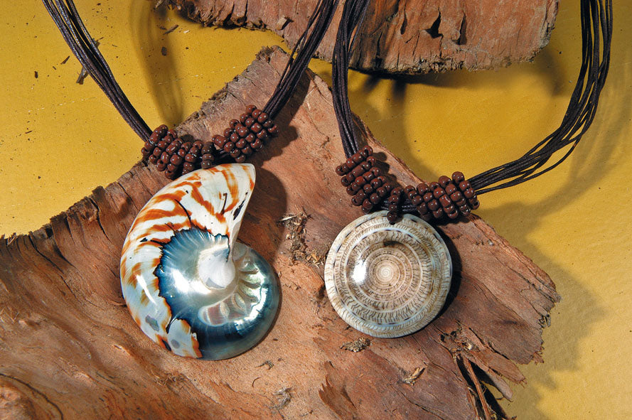 Kette Nautilus Muschel