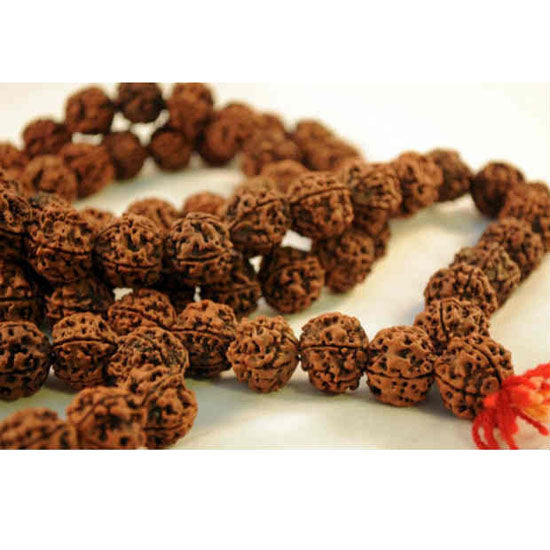 Rudraksh Mala