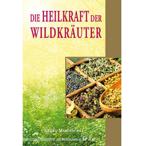 Die Heilkraft der Wildkräuter