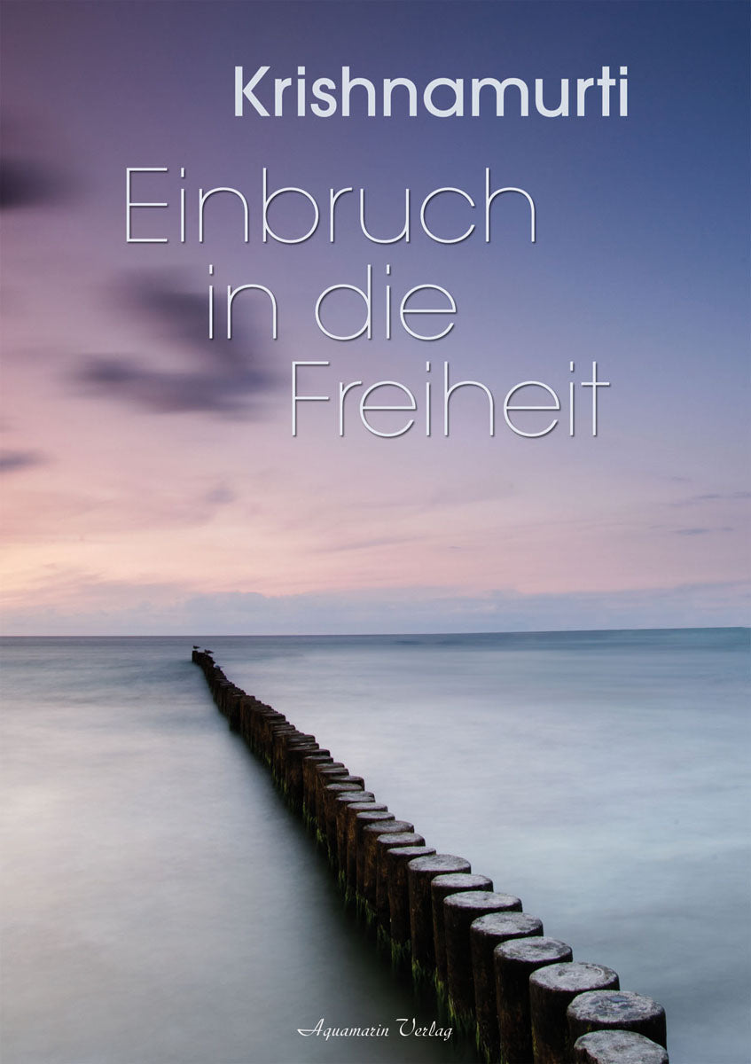 Einbruch in die Freiheit