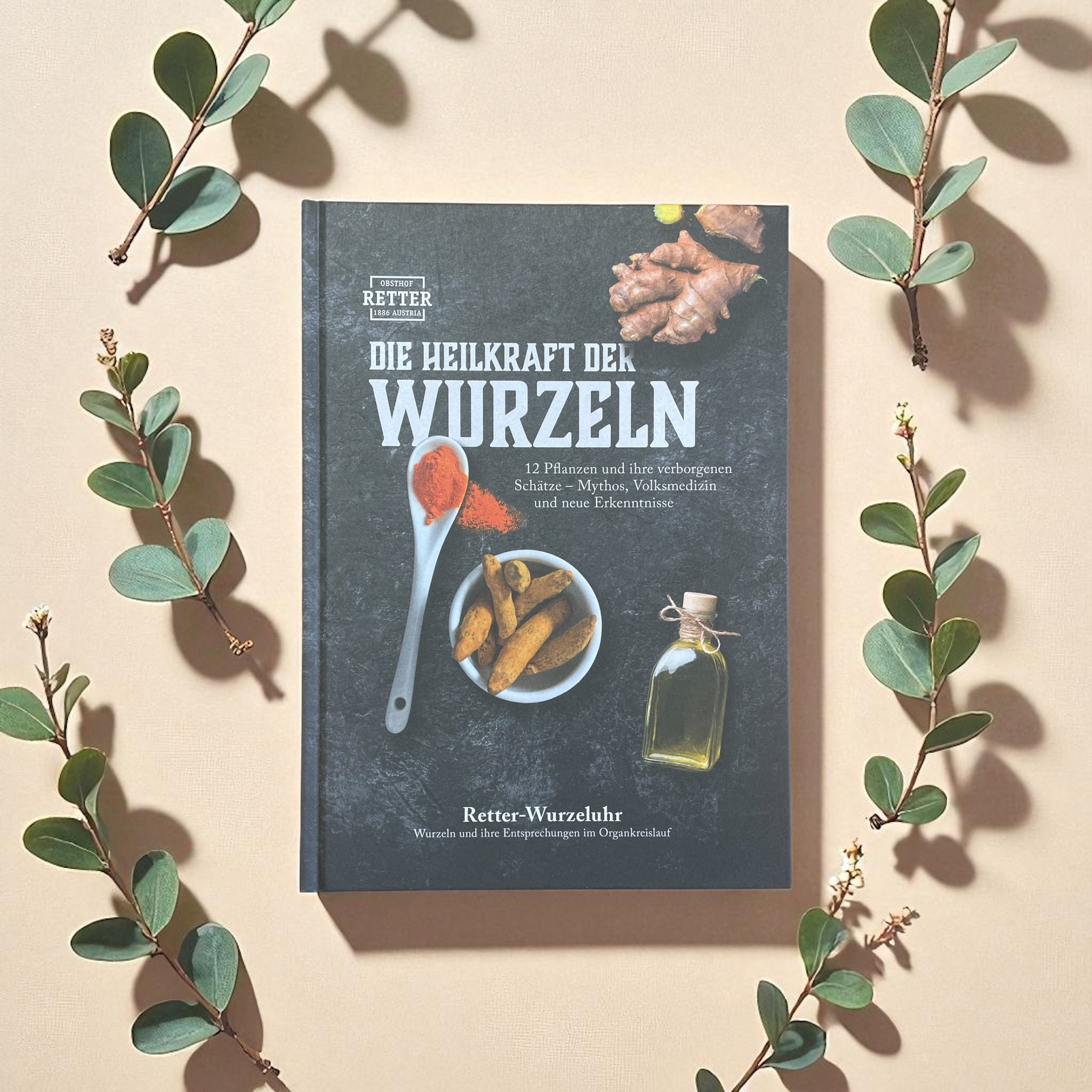 Die Heilkraft der Wurzeln