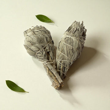 Baby Smudges Weißer Salbei