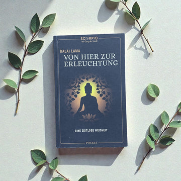 Von hier zur Erleuchtung - Eine zeitlose Weisheit
