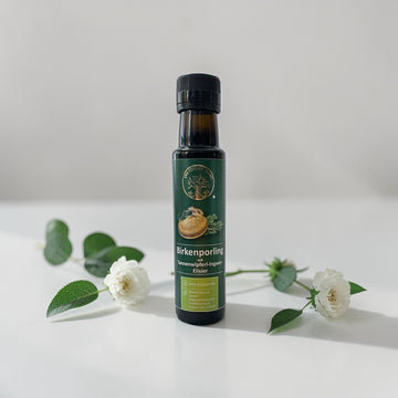 Birkenporling - Elixier 100 ml